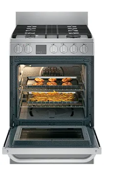 24" 2.9 Cu. Ft. Gas Free-Standing Range with Convection and Modular Backguard