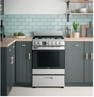 24" 2.9 Cu. Ft. Gas Free-Standing Range with Convection and Modular Backguard