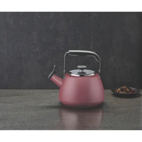 Maritime Red Stainless Steel Stovetop Kettle