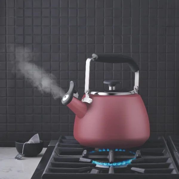 Maritime Red Stainless Steel Stovetop Kettle