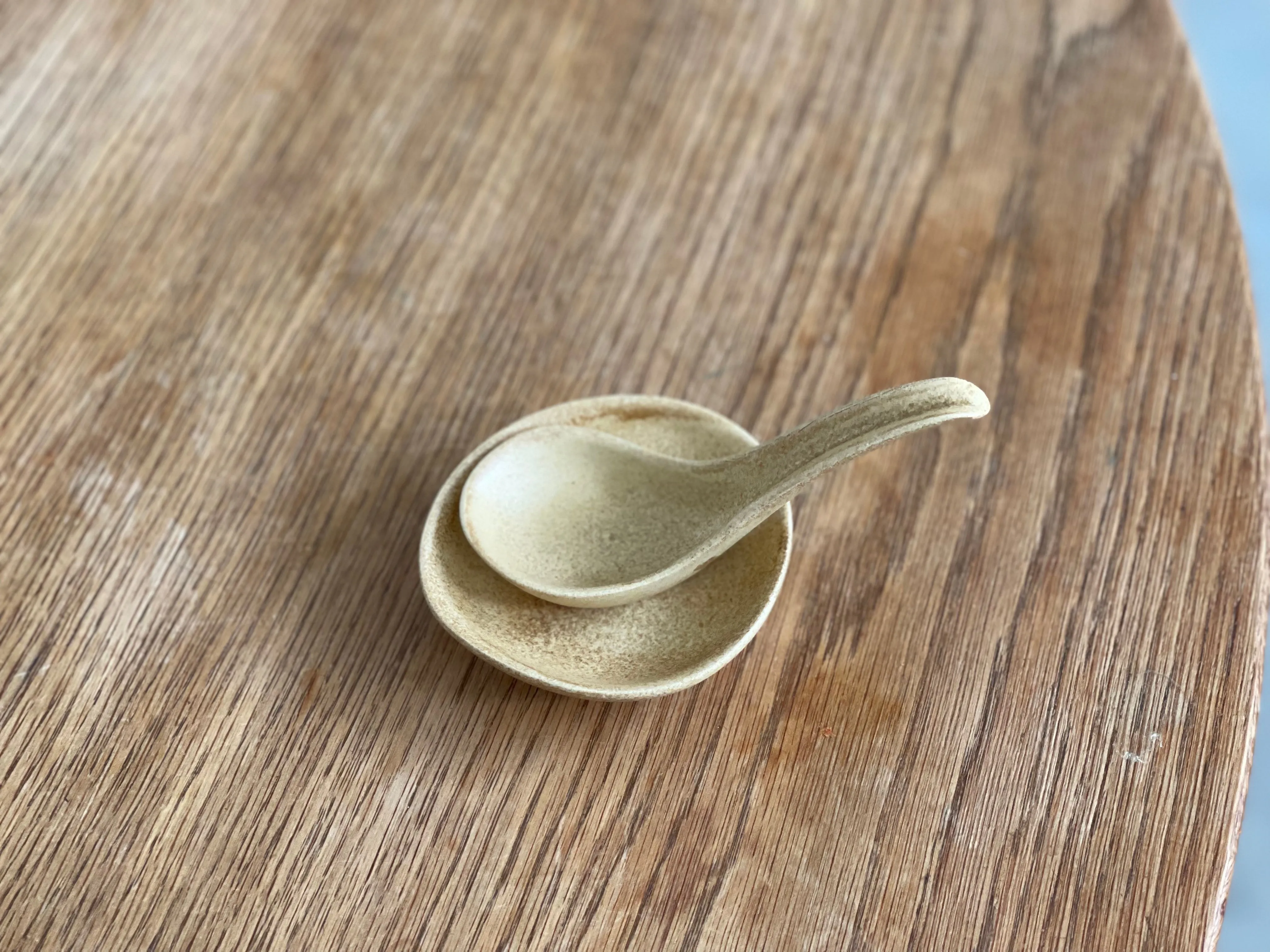 Nagatanien Igamono Soup Spoon & Saucer