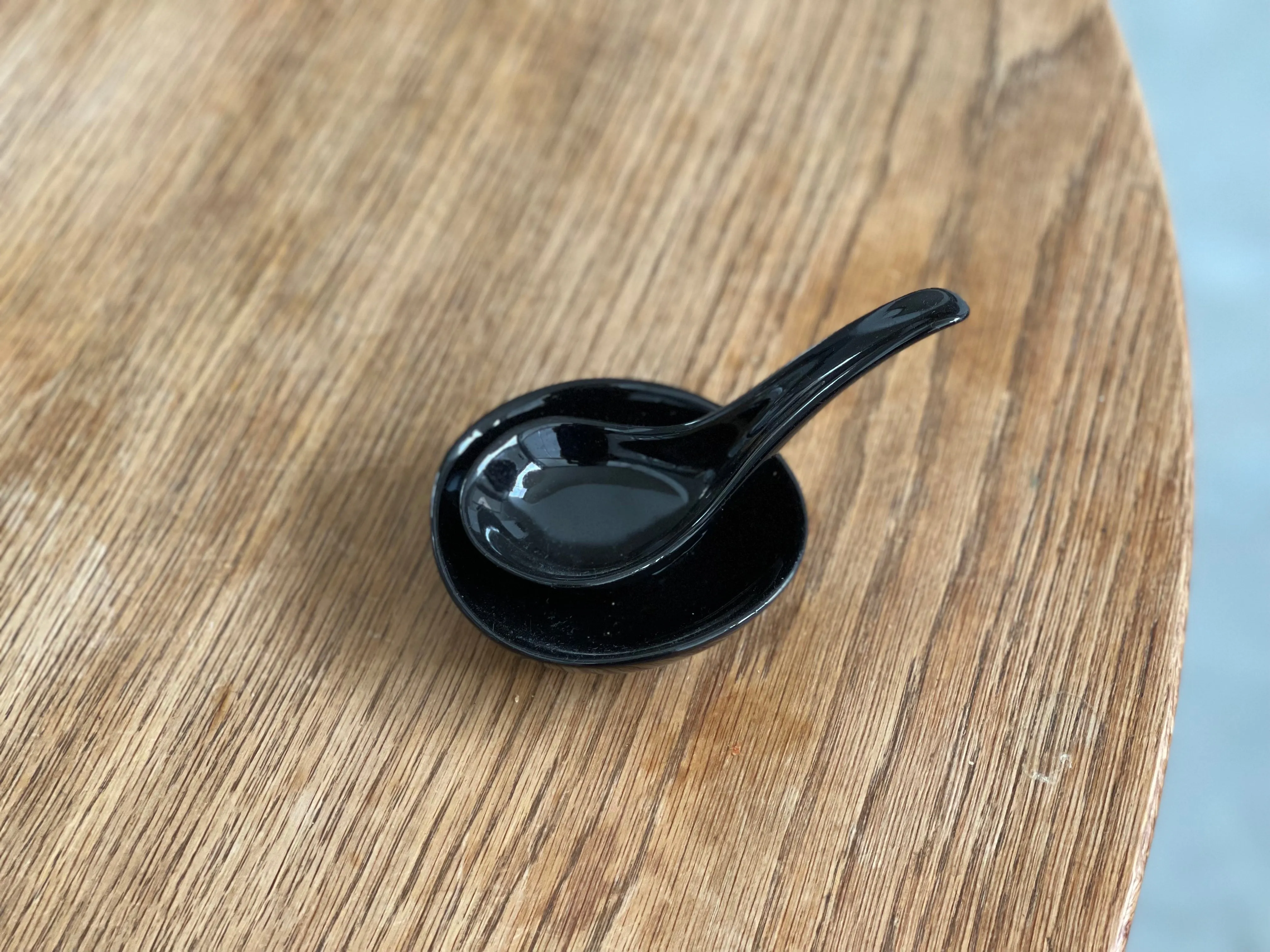 Nagatanien Igamono Soup Spoon & Saucer