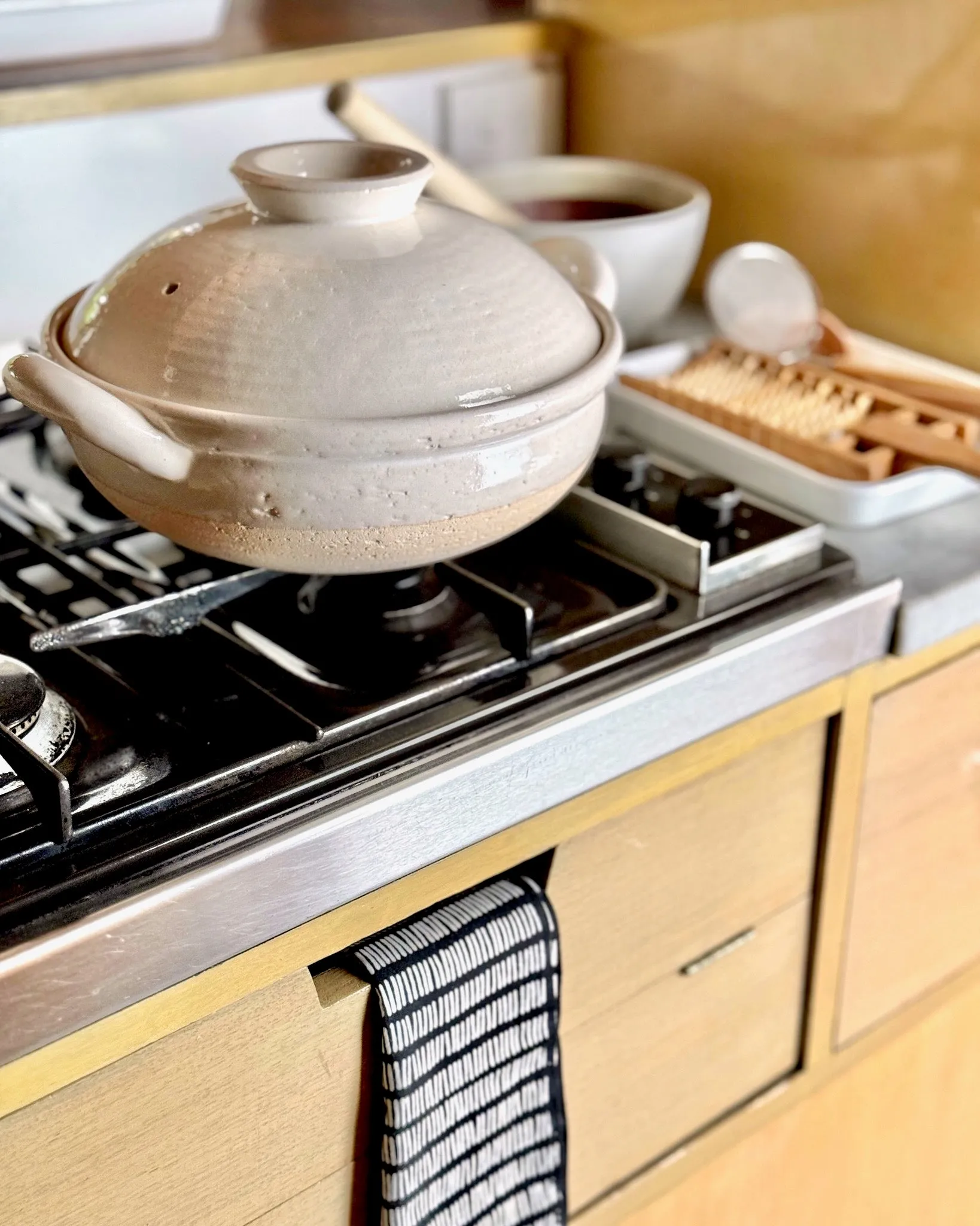 Nagatanien Igamono Steam Pot Donabe