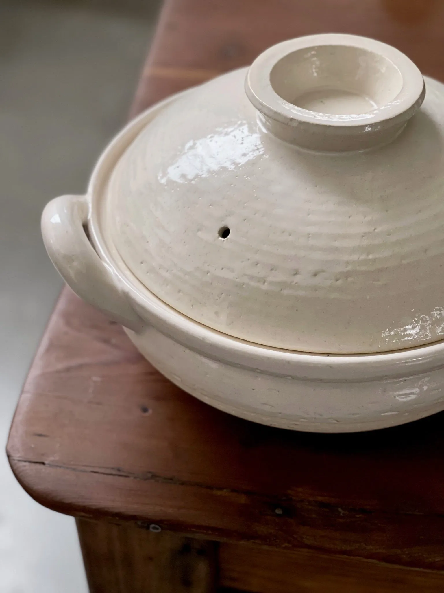 Nagatanien Igamono Steam Pot Donabe
