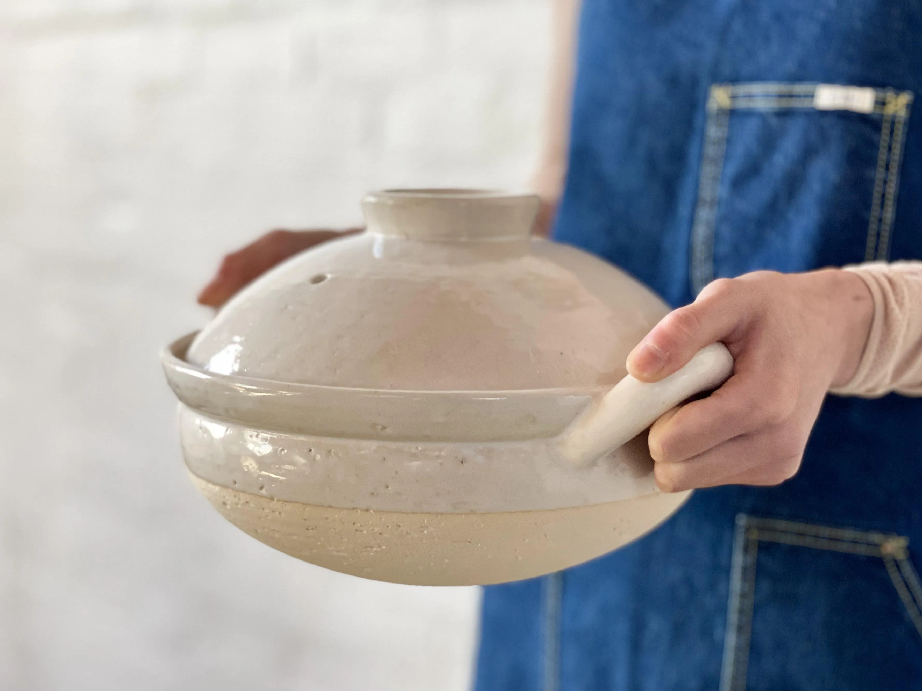 Nagatanien Igamono Steam Pot Donabe