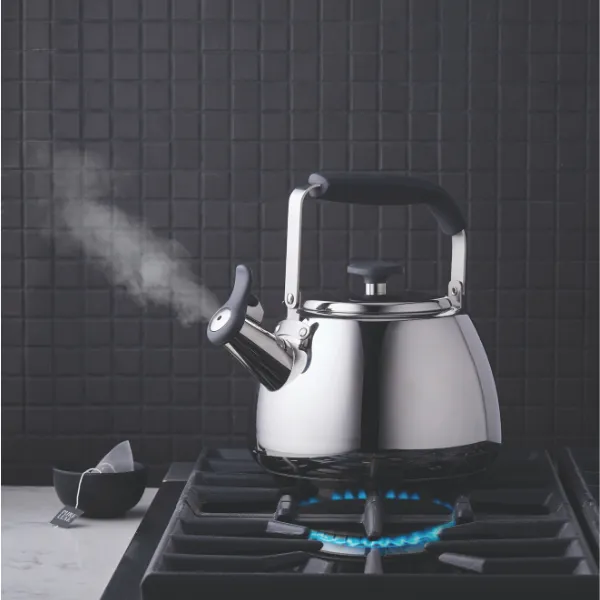 Polished Stainless Steel Stovetop Kettle