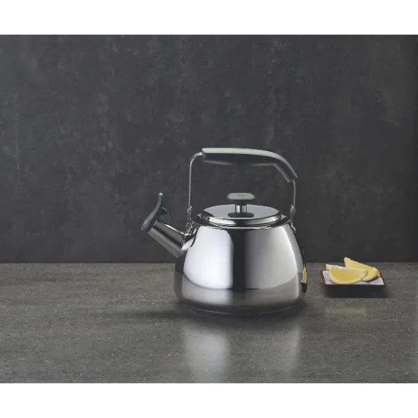 Polished Stainless Steel Stovetop Kettle