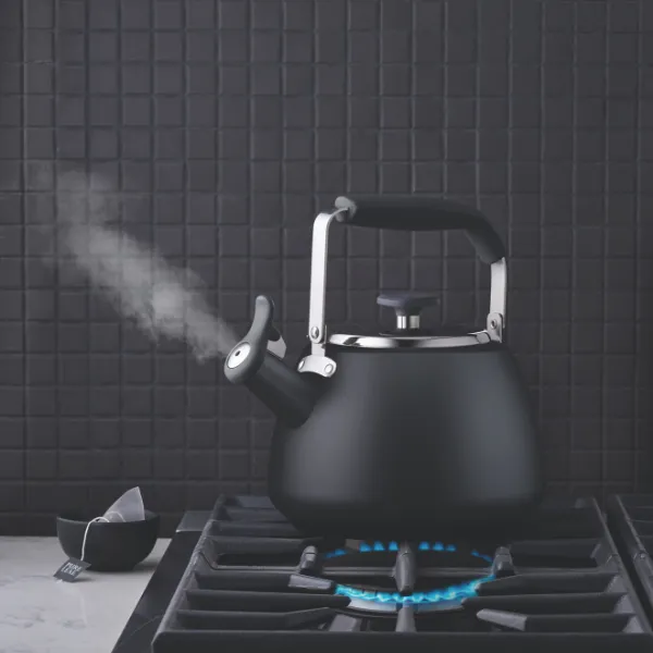 Stormy Black Stainless Steel Stovetop Kettle