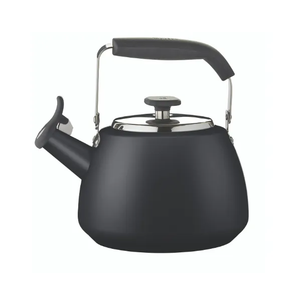 Stormy Black Stainless Steel Stovetop Kettle