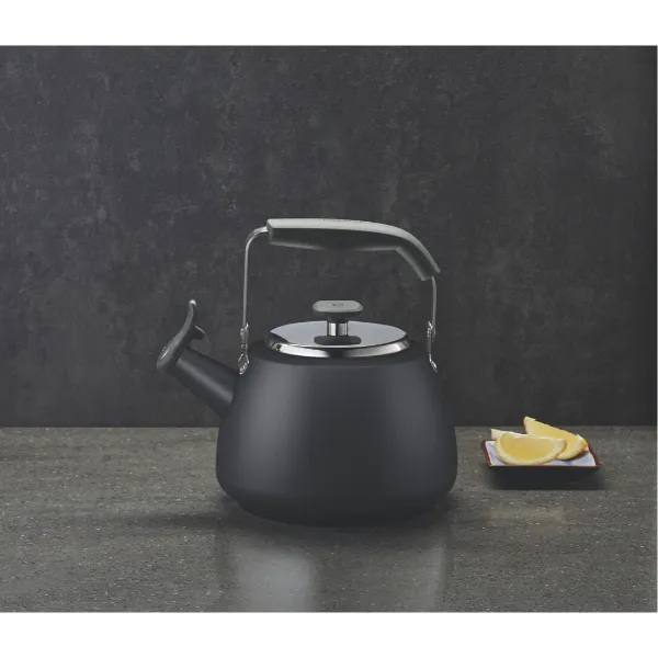 Stormy Black Stainless Steel Stovetop Kettle