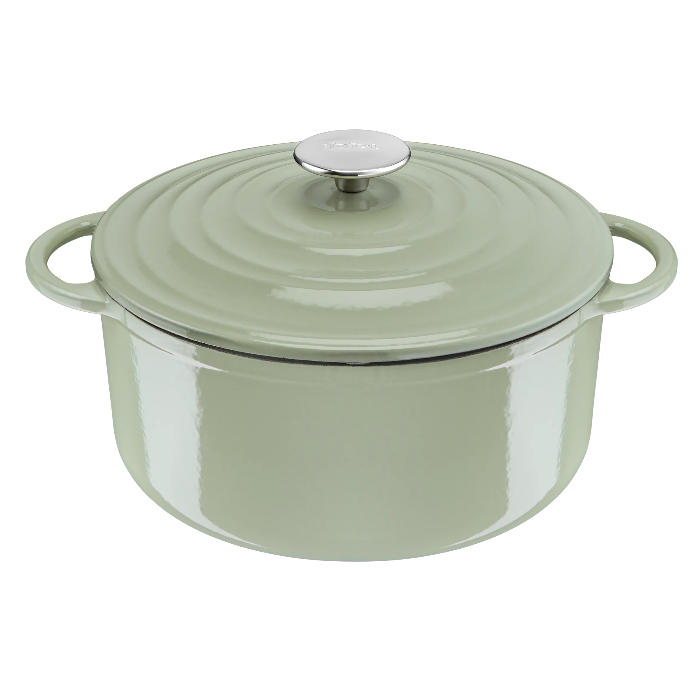 User manual and frequently asked questions Tefal LOV Induction Cast Iron Green Lichen Stewpot 25cm/5L   Lid