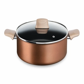 User manual and frequently asked questions Tefal Eco Respect Induction Non-Stick Stewpot 24cm   Lid